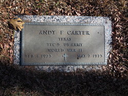 Andy F Carter 
