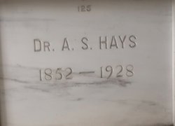 Dr Andrew S Hays 