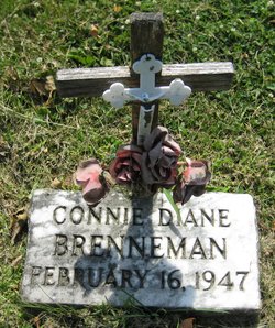 Connie Diane <I>Warren</I> Brenneman 