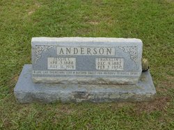 Jessie Cherokee <I>Overton</I> Anderson 