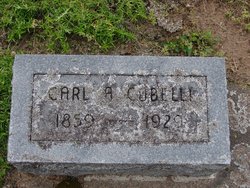 Carl Alexander Cobelli 