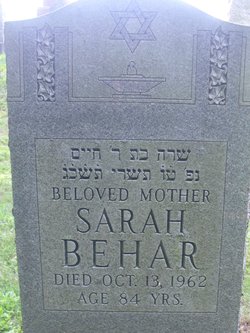 Sarah Behar 