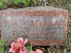 William H. Adams 