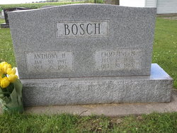 Anthony Henry Bosch Jr.