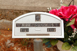 Vidal H Gonzales 