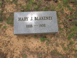 Mary J. <I>Blakeney</I> Anderson 