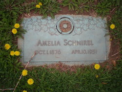 Amelia “Minnie” <I>Taylor</I> Schnirel 