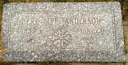 Bert Lee Anderson 