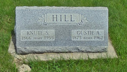 Gustie Ann <I>Nelson</I> Hill 