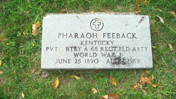PVT Pharaoh Feeback 