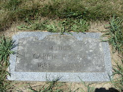 Carrie <I>Boehner</I> Crim 