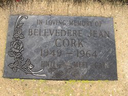 Belvedere Jean Cork 