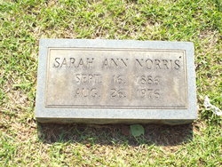 Sarah Ann “Sallie” <I>DeLoach</I> Norris 