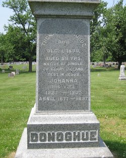 Annie M. Donoghue 