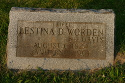 Lestina Direxea <I>Orvis</I> Worden 
