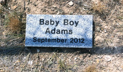 Baby Boy Adams 