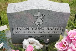 Sharon <I>Young</I> Harvey 