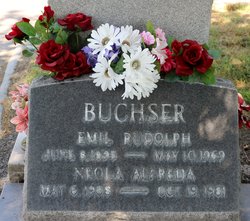Emil Rudolf Buchser 