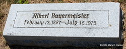 Albert Bauermeister 