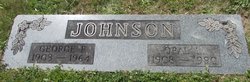 George F Johnson 