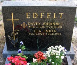 David Johannes Edfelt 