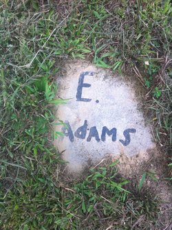 E. Adams 