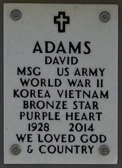 David Adams 