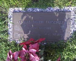 Arneias <I>Smith</I> Fairchild 