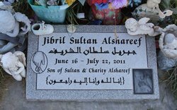 Jibril Sultan Alshareef 