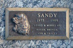 Sandy -- 