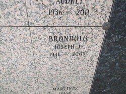 Joseph J Brondolo 