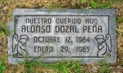 Alonso Dozal Pena 
