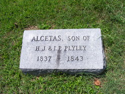 Alcetas Plyley 