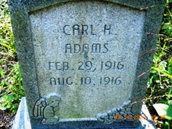 Carl H. Adams 