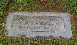 Jesse Fred Anderson 