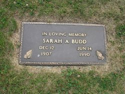Sarah Ann <I>Richards</I> Budd 