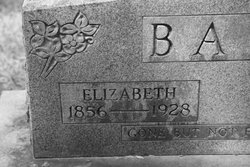 Sarah Elizabeth “Lizzy” <I>Fryar</I> Bass 