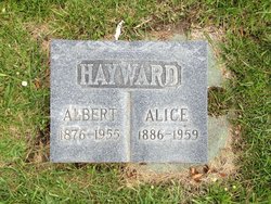 Alice Hayward 