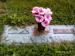 Nellie M <I>Long</I> Wilson 