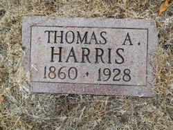 Thomas A Harris 