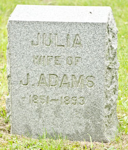 Julia Ann <I>Donovan</I> Adams 