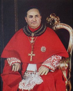 Cardinal Nicola Canali 