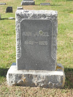 Ann Ansel 