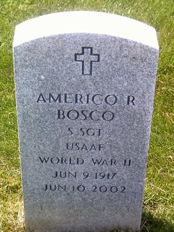 Americo R Bosco 