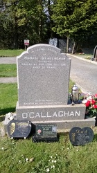 Michael O'Callaghan 