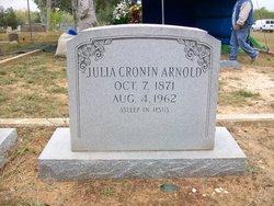 Julia Mary <I>Cronin</I> Arnold 