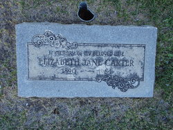 Elizabeth Jane <I>Griner</I> Carter 