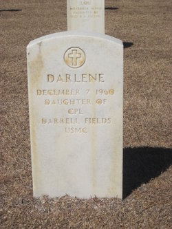 Darlene Fields 