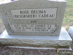 Rose Delima <I>Desormier</I> Cadeau 
