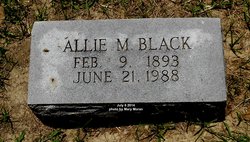 Allie Mae <I>Flippin</I> Black 
